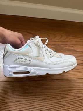 Nike Air Max Sneakers